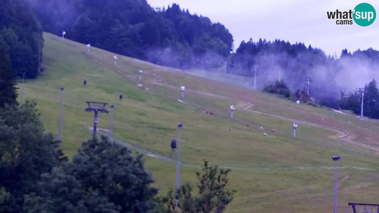 Webcam Kranjska Gora SKI – panoramica Piste centrali