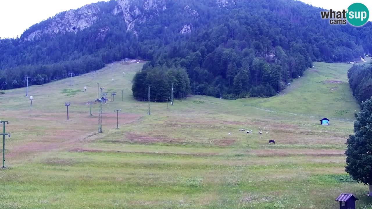 Webcam Station de ski Kranjska Gora – Slovénie
