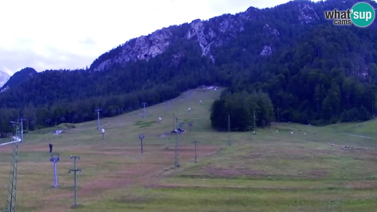 Webcam Kranjska Gora SKI – panoramica Piste centrali