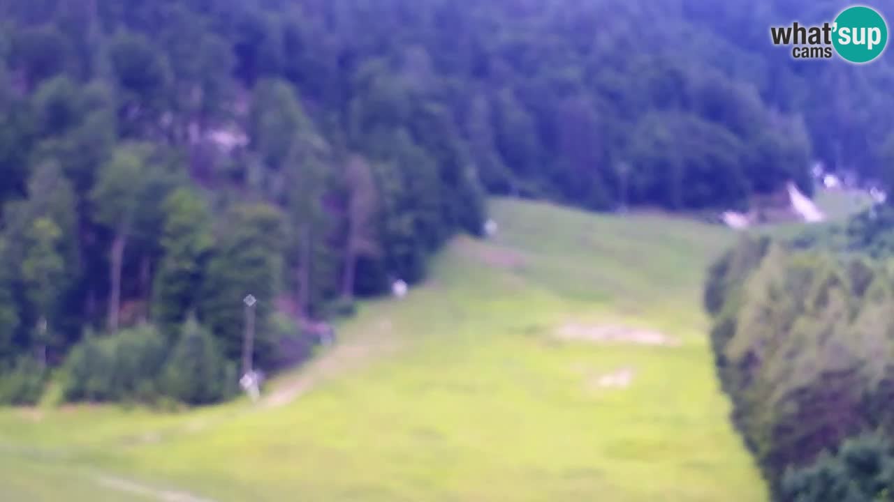 Webcam Estación de esquí Kranjska Gora – Eslovenia