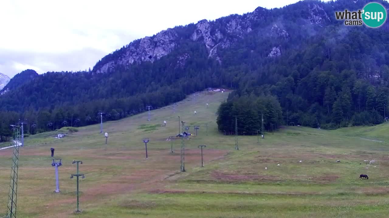 Web kamera Kranjska Gora Skijalište | Proge Mojca in Kekec