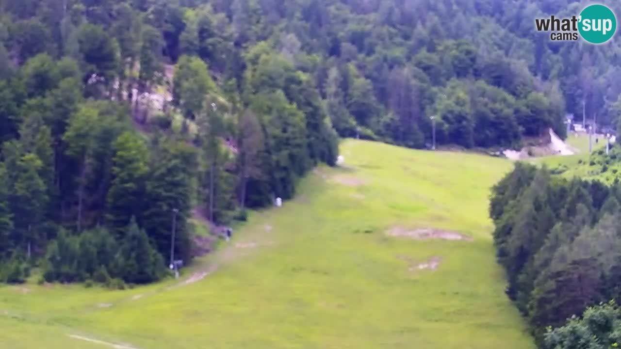 Webcam Estación de esquí Kranjska Gora – Eslovenia