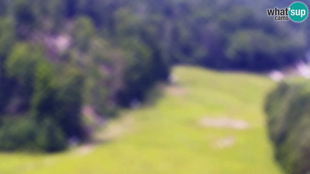 Web kamera Kranjska Gora Skijalište | Proge Mojca in Kekec