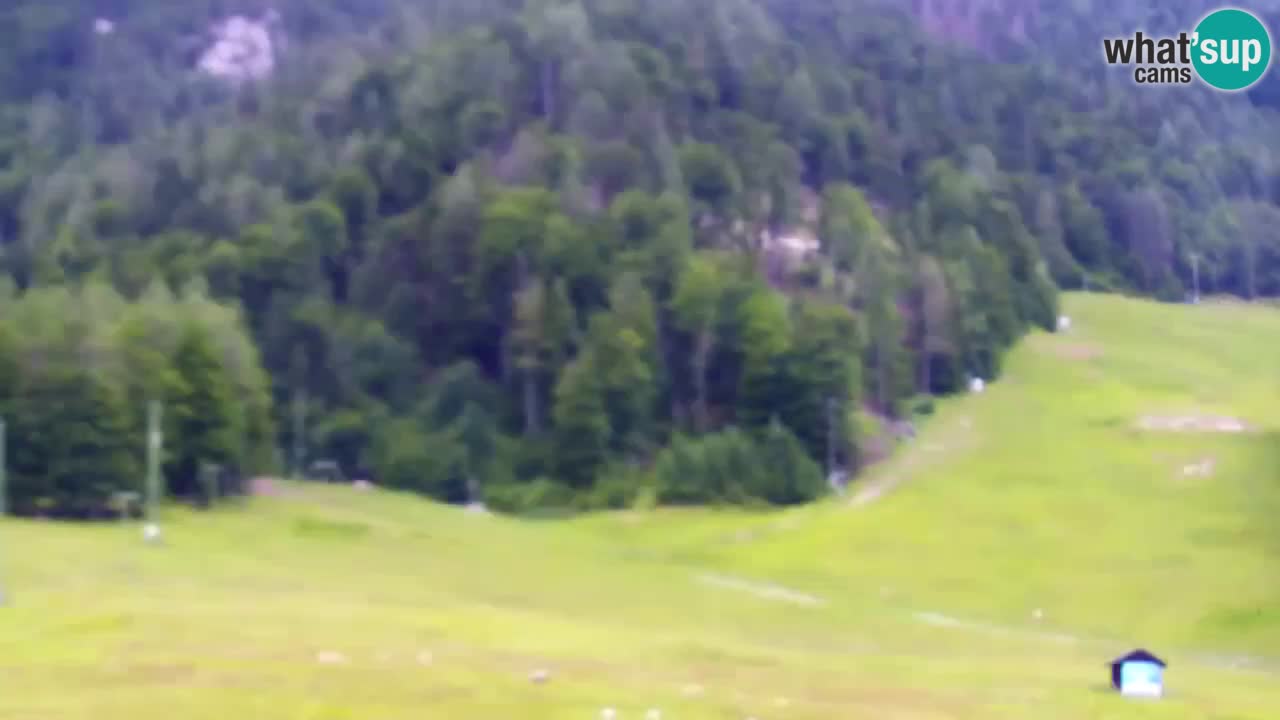 Web kamera Kranjska Gora Skijalište | Proge Mojca in Kekec