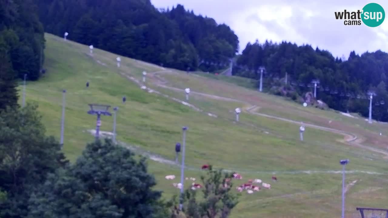 Web kamera Kranjska Gora Skijalište | Proge Mojca in Kekec