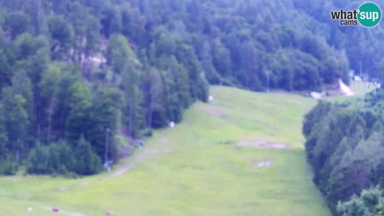 Webcam Kranjska Gora SKI – panoramica Piste centrali