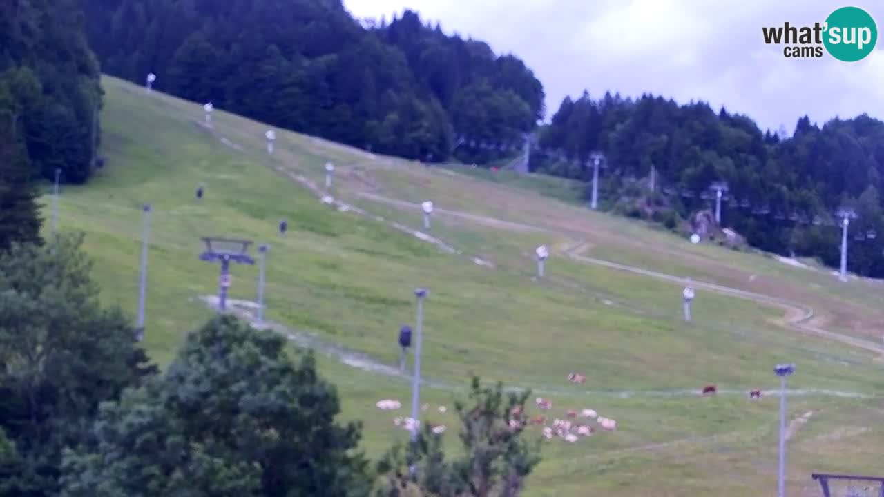 Webcam Estación de esquí Kranjska Gora – Eslovenia