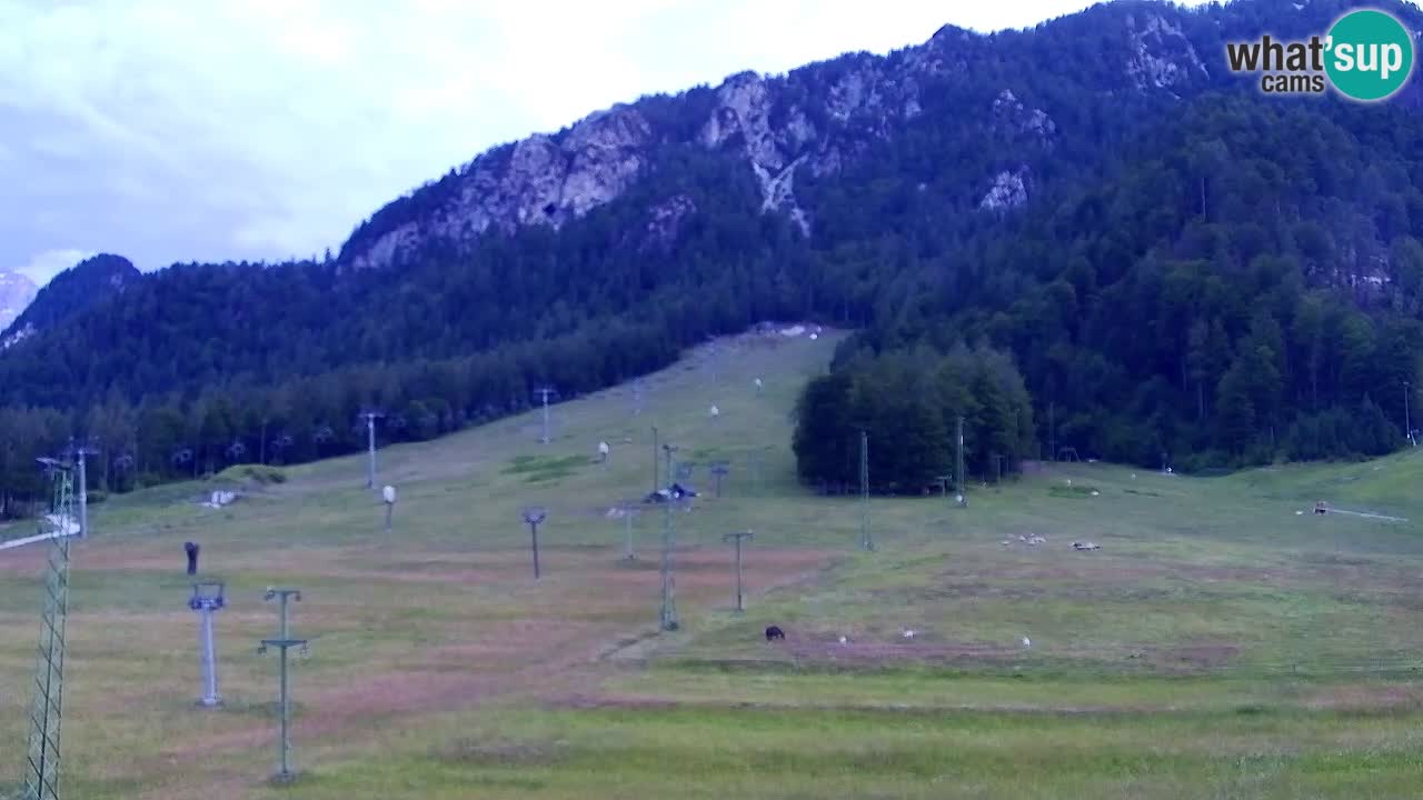 Webcam Station de ski Kranjska Gora – Slovénie