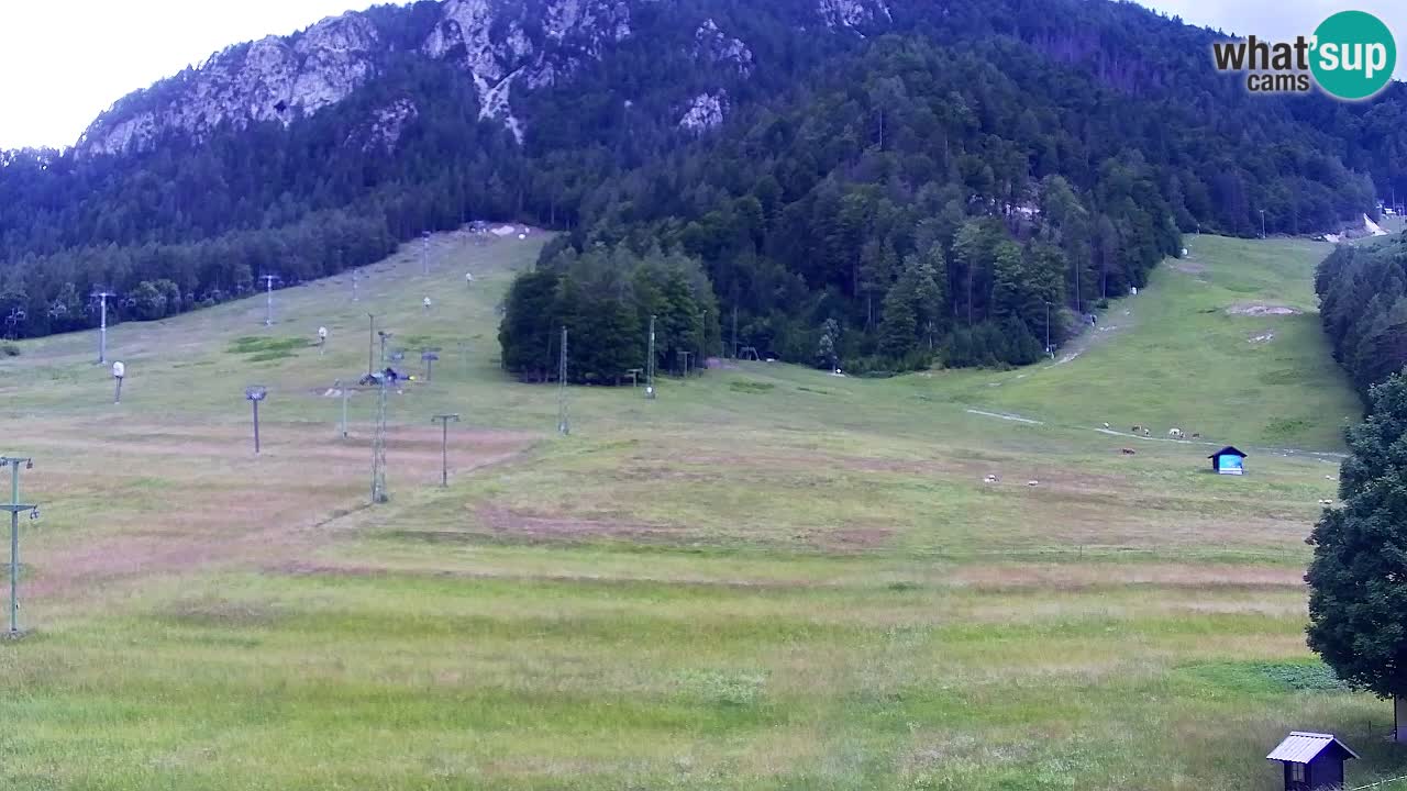 Webcam Kranjska Gora SKI – panoramica Piste centrali