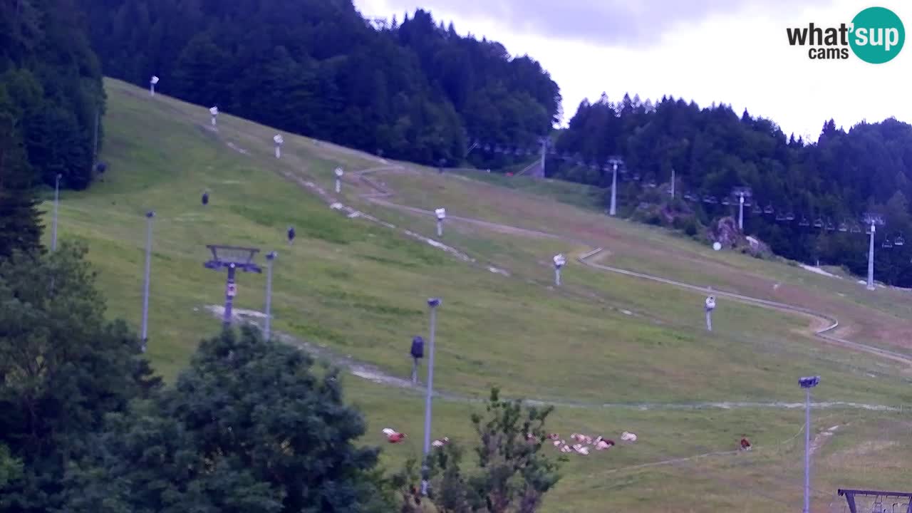 Webcam Skigebiet Kranjska Gora – Slowenien
