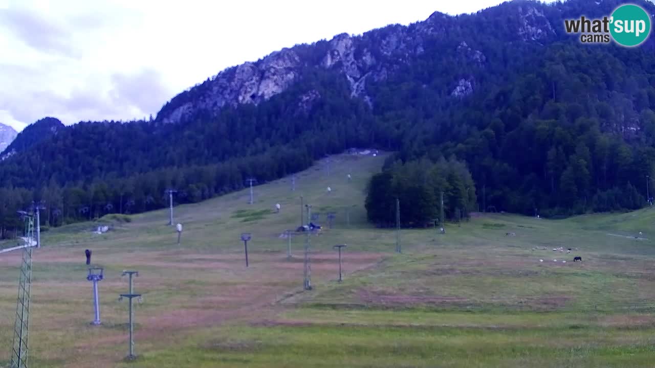 Webcam Kranjska Gora SKI – panoramica Piste centrali