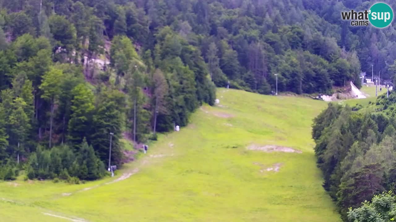 Web kamera Kranjska Gora Skijalište | Proge Mojca in Kekec
