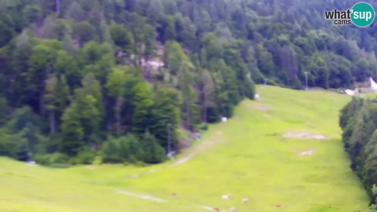 Web kamera Kranjska Gora Skijalište | Proge Mojca in Kekec