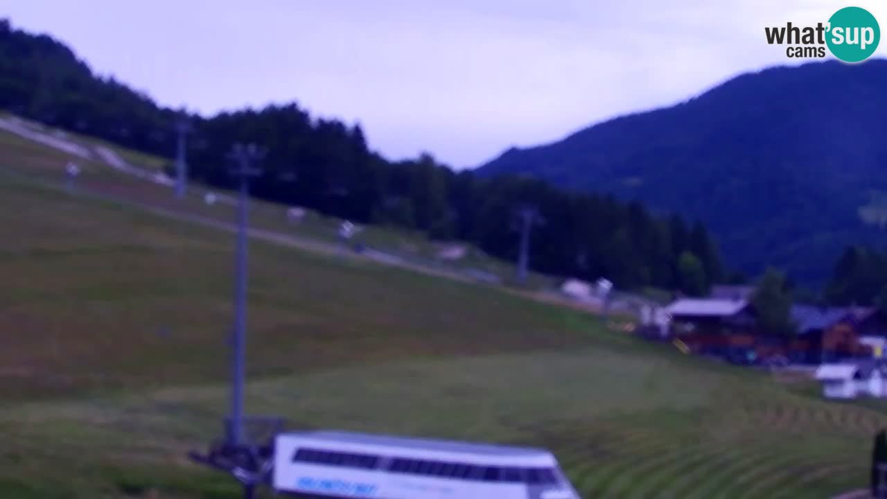 Webcam Kranjska Gora SKI – panoramica Piste centrali