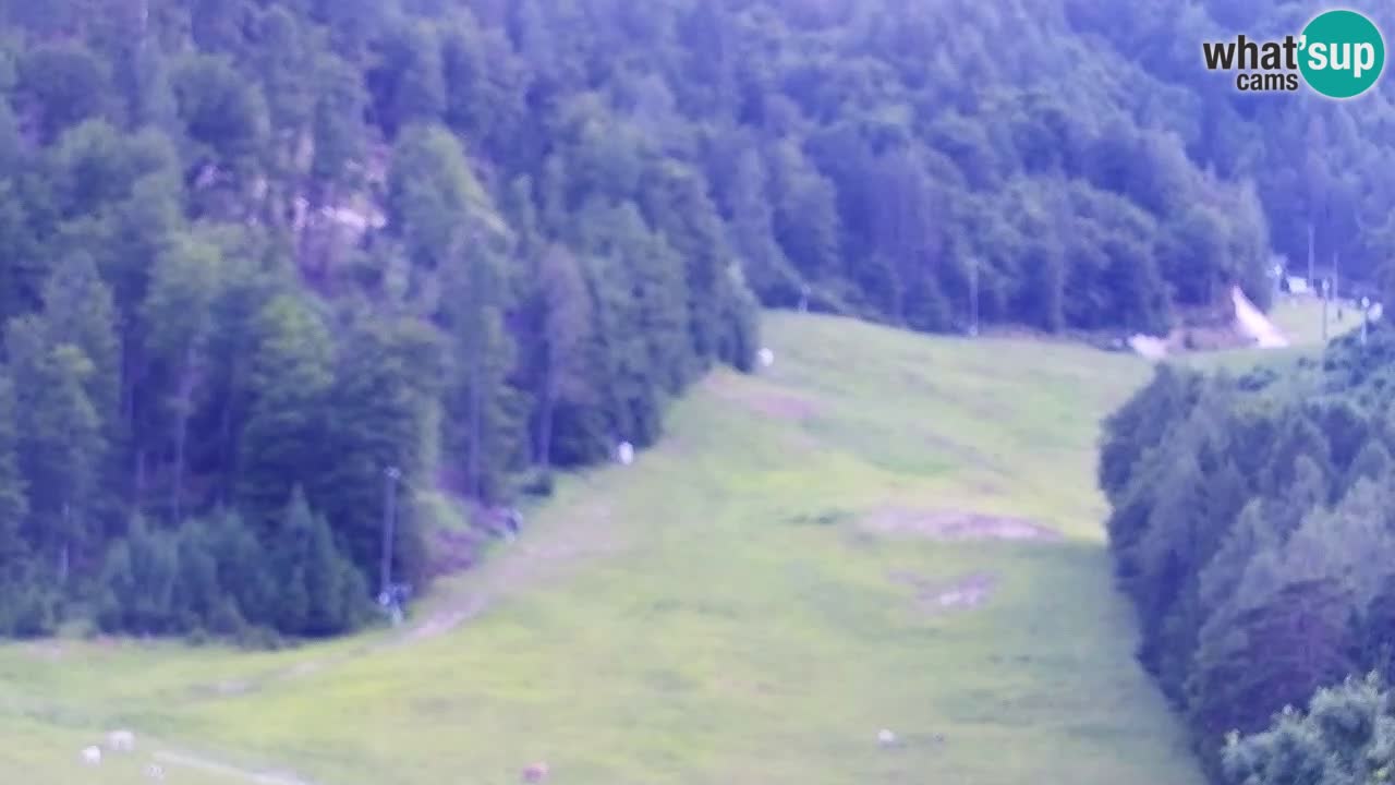 Webcam Kranjska Gora SKI resort | Bech, Kekec, Mojca ski
