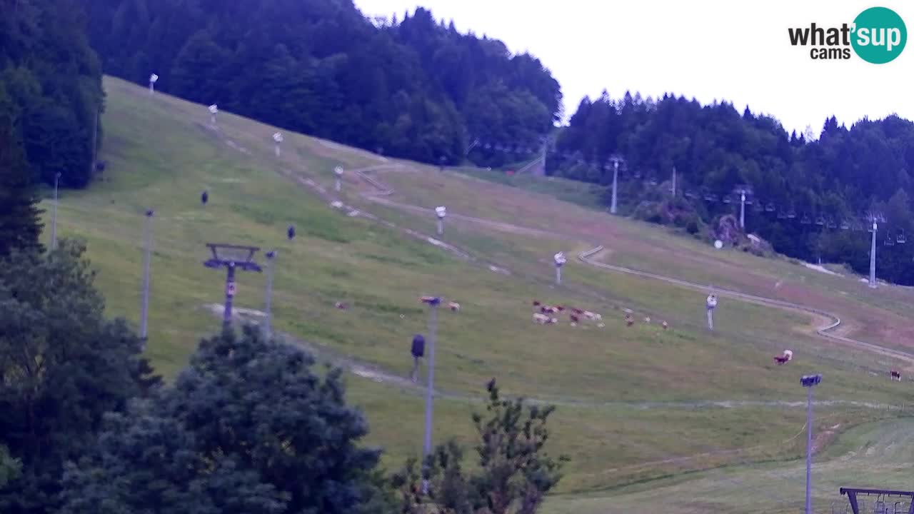 Web kamera Kranjska Gora Skijalište | Proge Mojca in Kekec