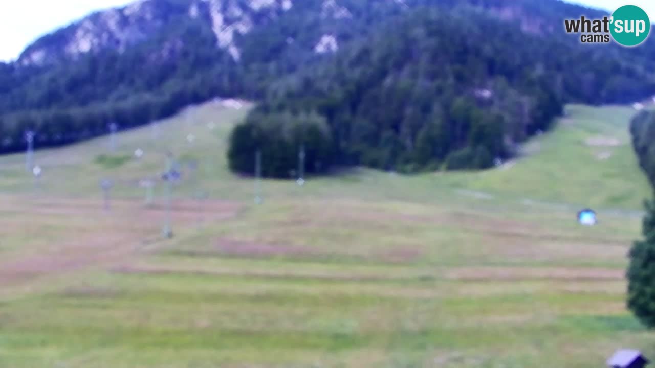 Webcam Estación de esquí Kranjska Gora – Eslovenia