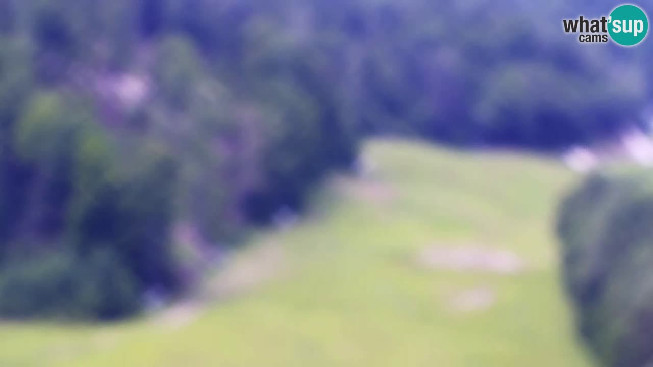 Web kamera Kranjska Gora Skijalište | Proge Mojca in Kekec