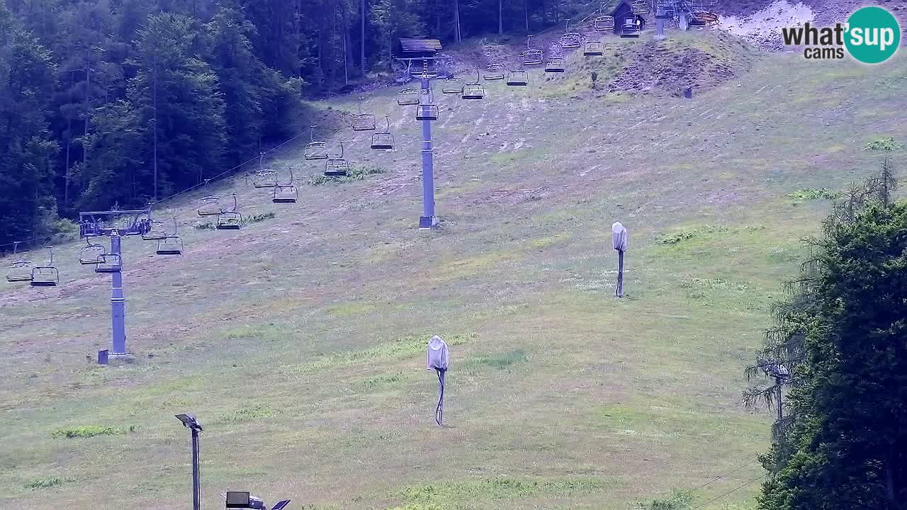 Web kamera Kranjska Gora Skijalište | Proge Mojca in Kekec