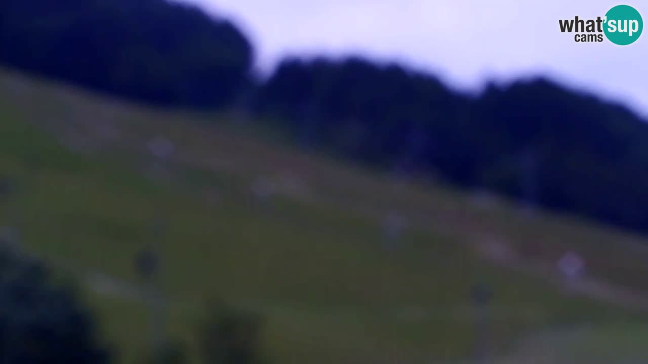 Web kamera Kranjska Gora Skijalište | Proge Mojca in Kekec