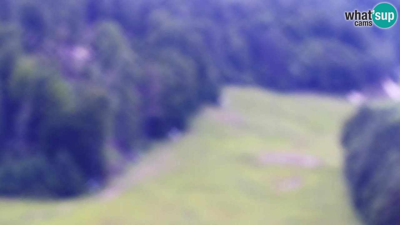 Webcam Kranjska Gora SKI – panoramica Piste centrali