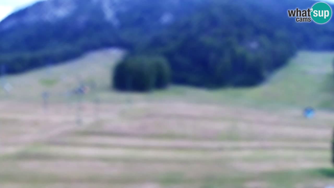 Webcam Kranjska Gora SKI – panoramica Piste centrali