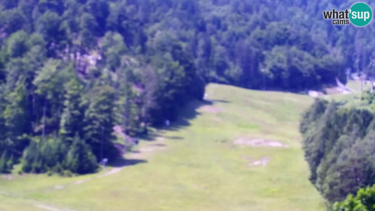 Webcam Kranjska Gora SKI resort | Bech, Kekec, Mojca ski