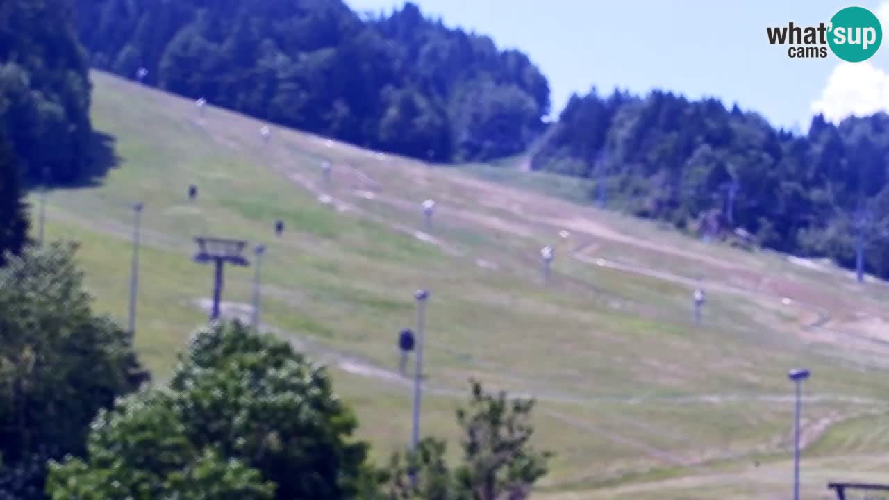 Webcam Kranjska Gora SKI – panoramica Piste centrali