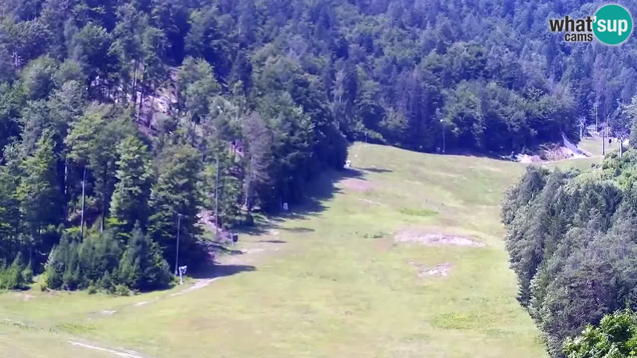 Webcam Kranjska Gora SKI resort | Bech, Kekec, Mojca ski