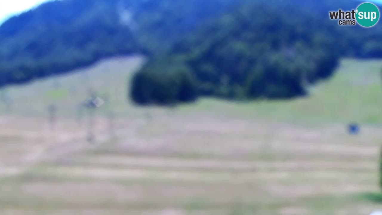 Web kamera Kranjska Gora Skijalište | Proge Mojca in Kekec