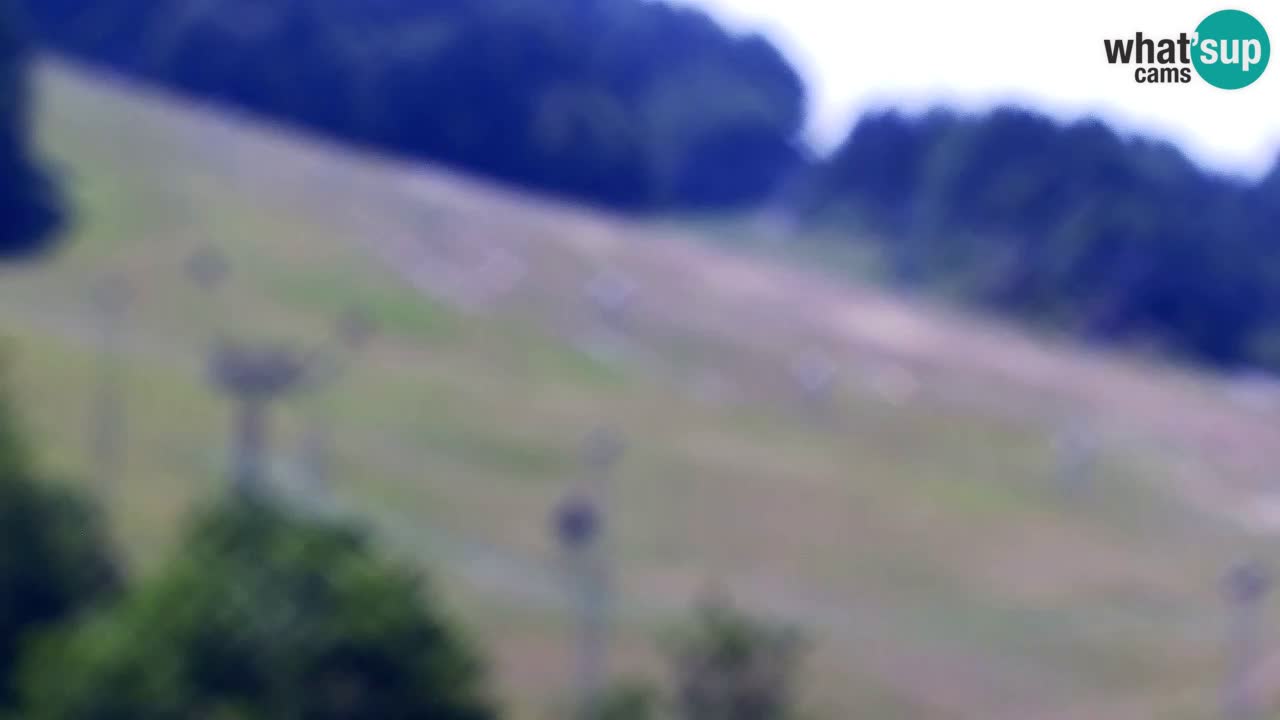 Webcam Skigebiet Kranjska Gora – Slowenien
