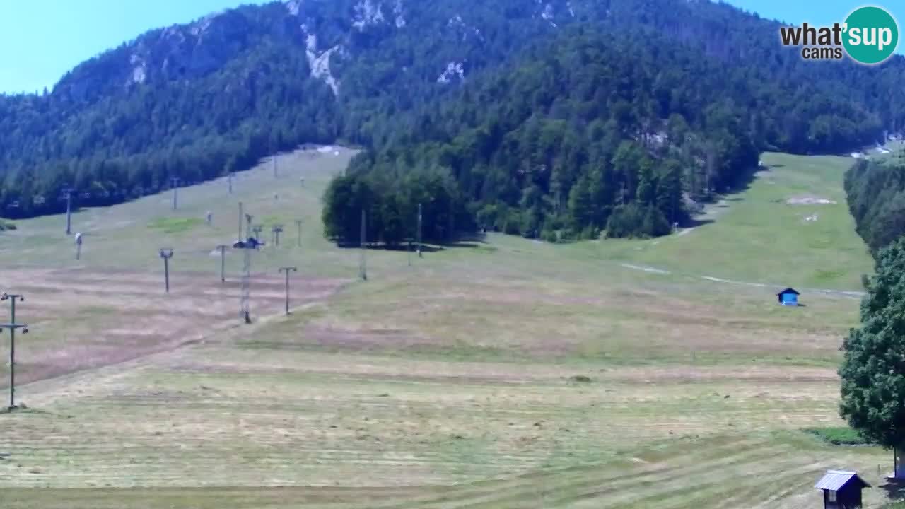 Webcam Kranjska Gora SKI resort | Bech, Kekec, Mojca ski