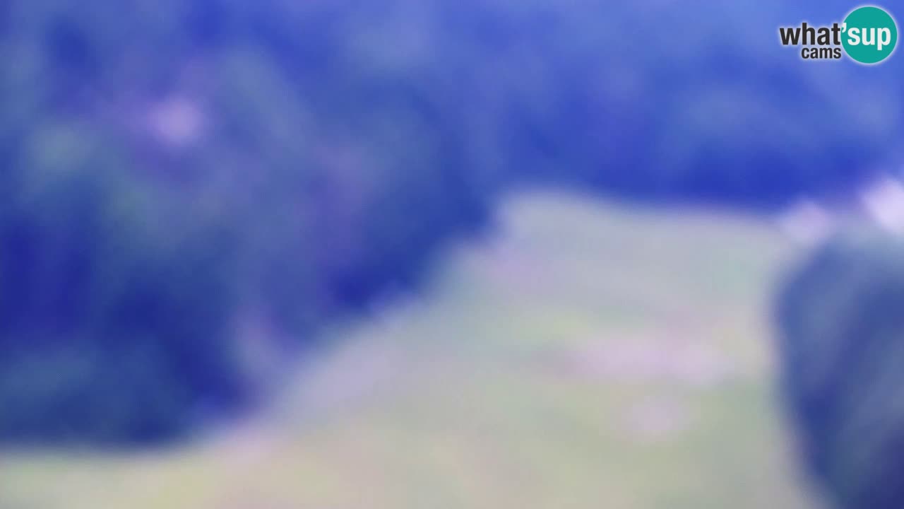 Webcam Kranjska Gora SKI resort | Bech, Kekec, Mojca ski
