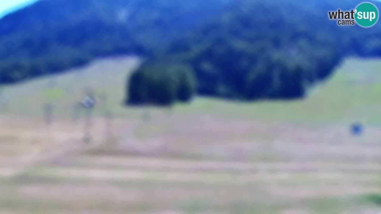 Webcam Kranjska Gora SKI – panoramica Piste centrali
