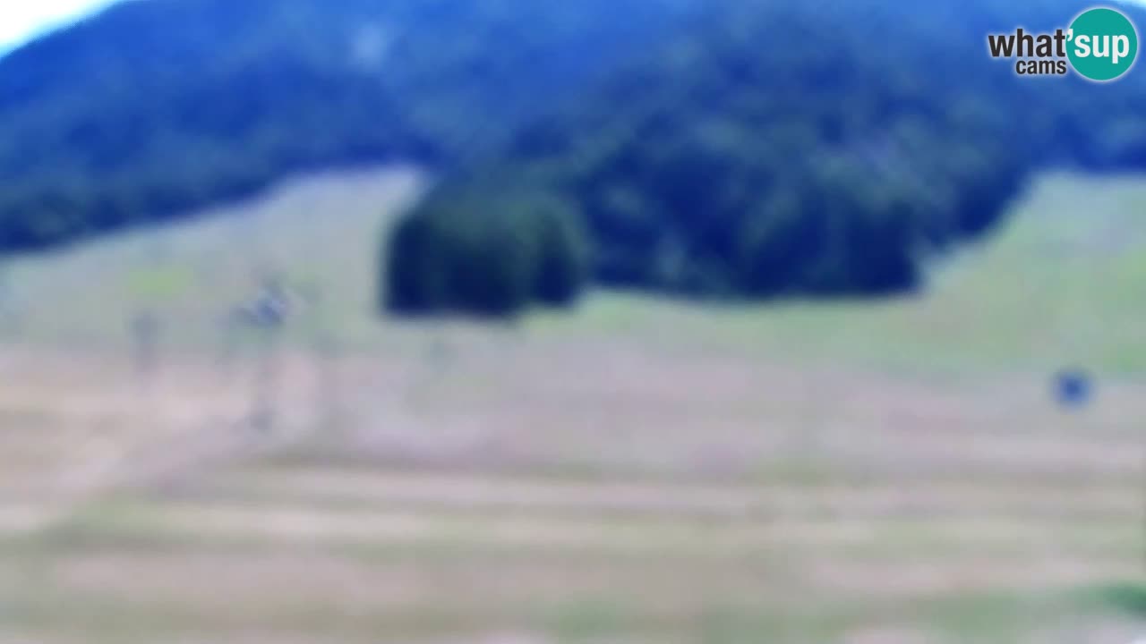 Web kamera Kranjska Gora Skijalište | Proge Mojca in Kekec