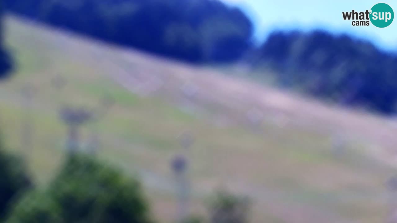 Webcam Kranjska Gora SKI resort | Bech, Kekec, Mojca ski