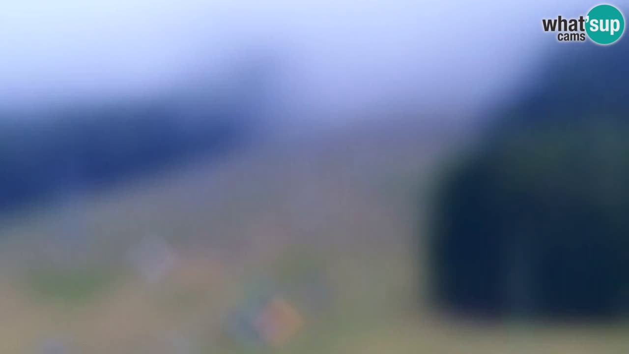 Webcam Kranjska Gora SKI – panoramica Piste centrali