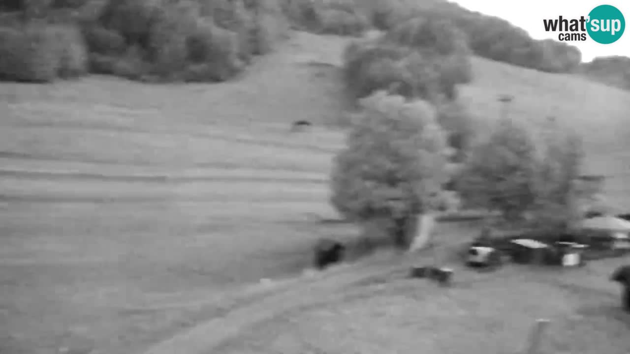 Webcam Estación de esquí Kranjska Gora – Eslovenia