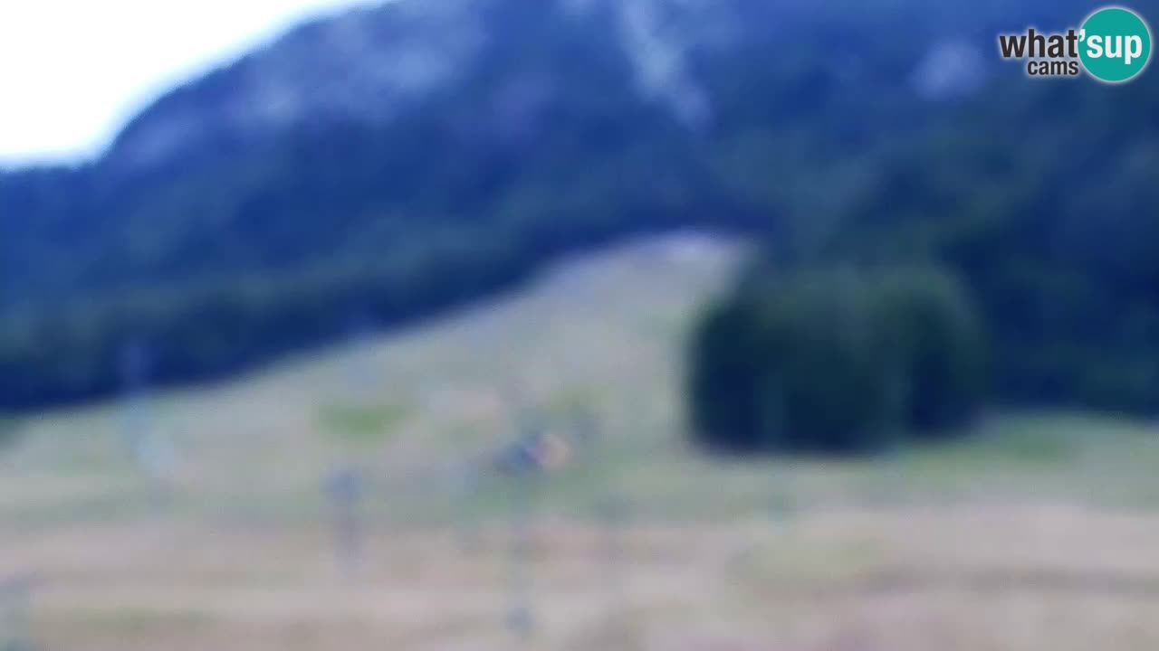 Web kamera Kranjska Gora Skijalište | Proge Mojca in Kekec