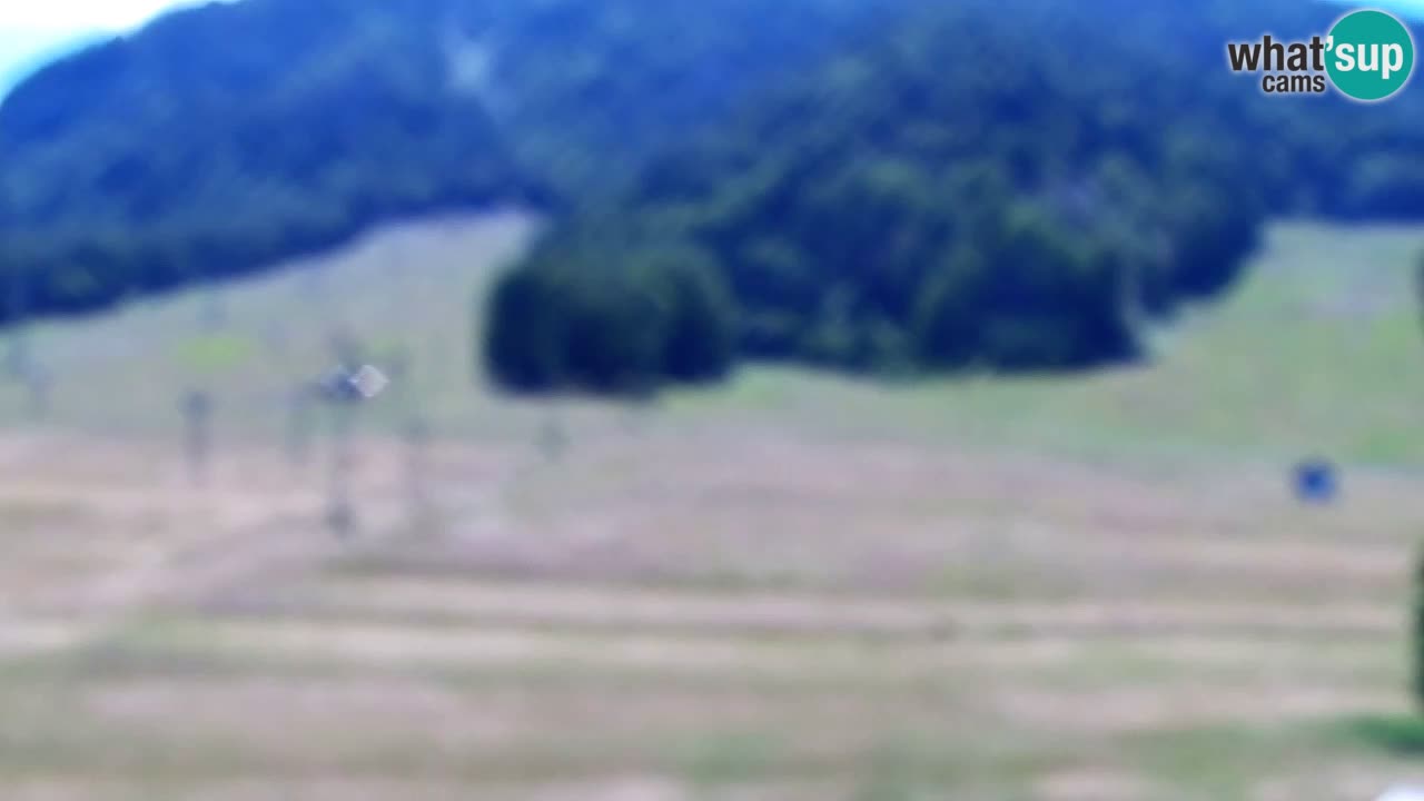 Webcam Kranjska Gora SKI resort | Bech, Kekec, Mojca ski