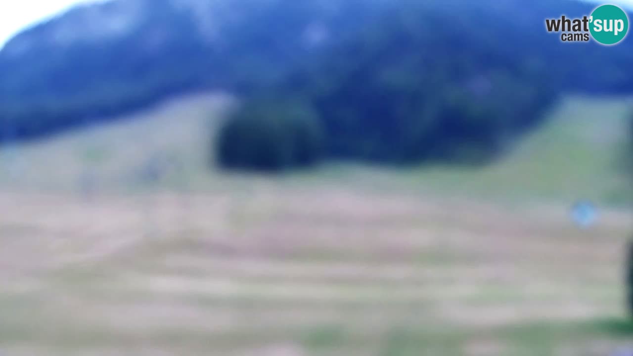 Webcam Estación de esquí Kranjska Gora – Eslovenia