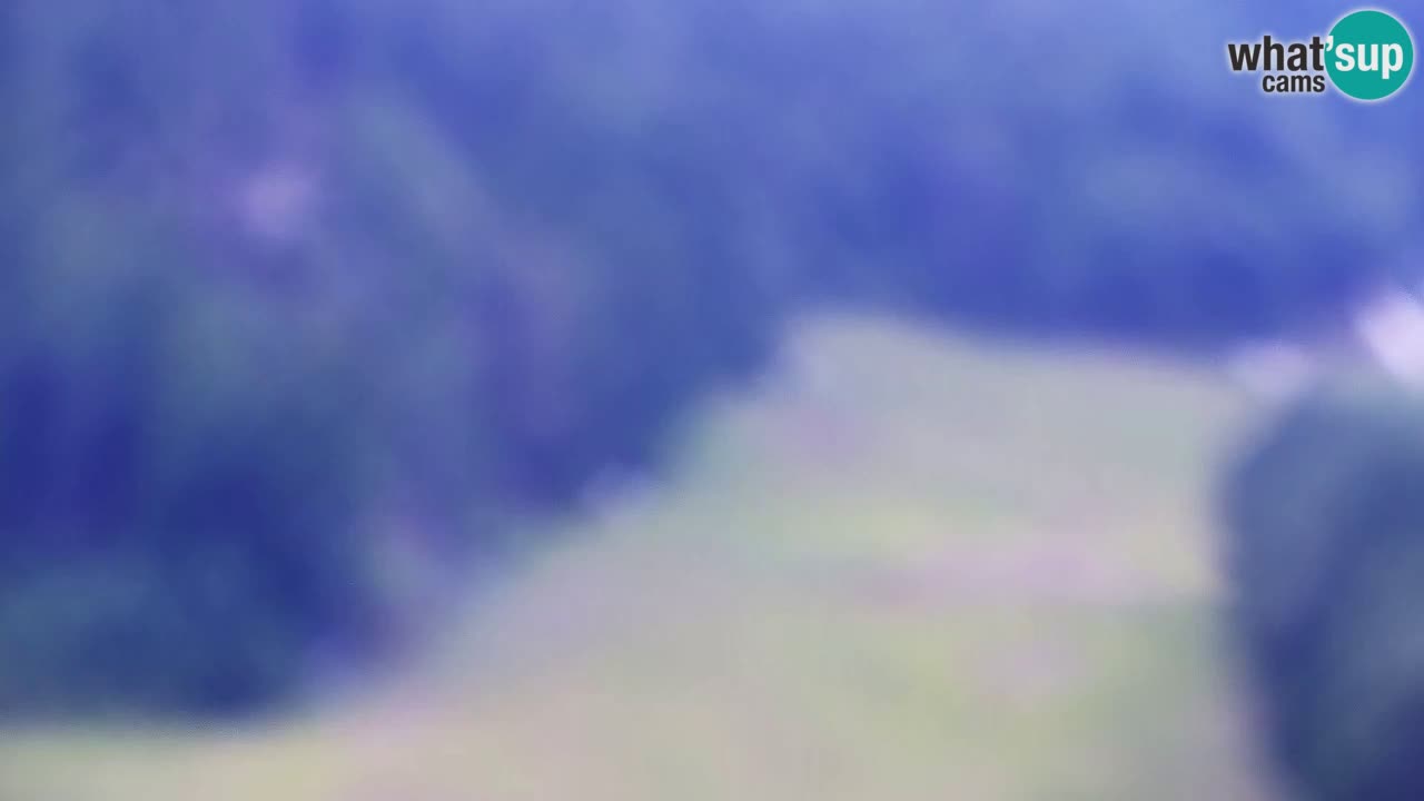 Webcam Station de ski Kranjska Gora – Slovénie