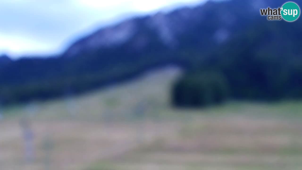 Webcam Kranjska Gora SKI resort | Bech, Kekec, Mojca ski