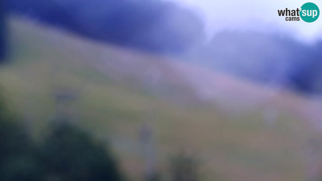 Webcam Skigebiet Kranjska Gora – Slowenien