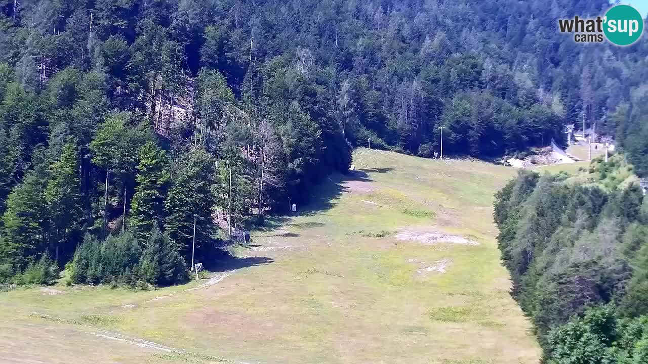 Webcam Estación de esquí Kranjska Gora – Eslovenia
