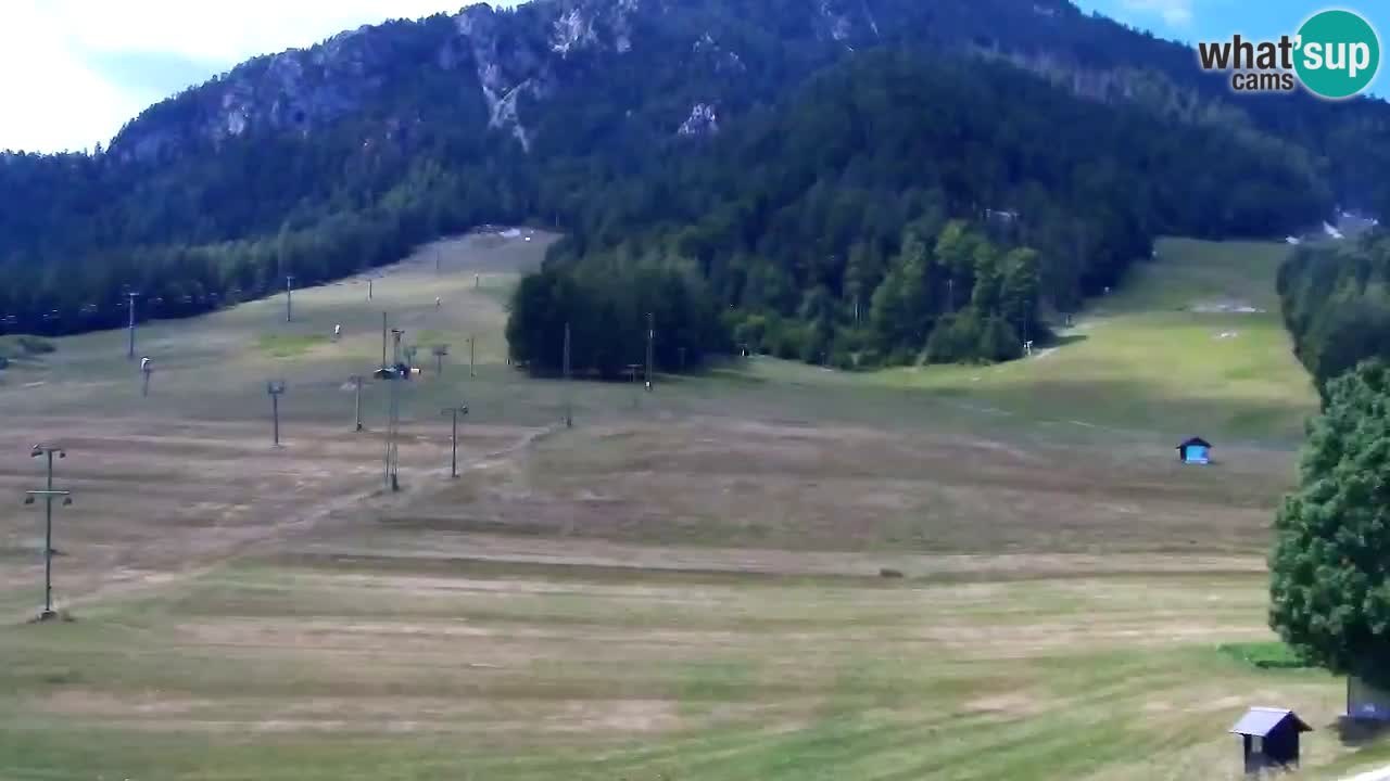 Webcam Estación de esquí Kranjska Gora – Eslovenia