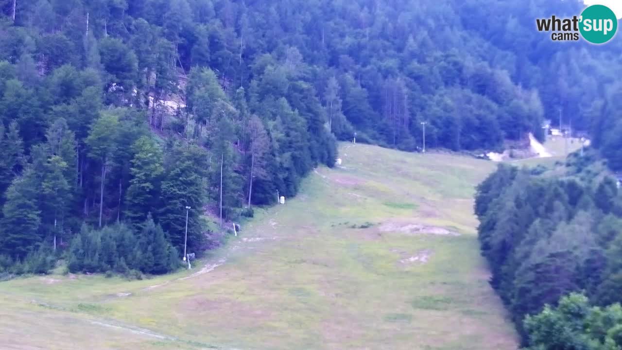 Webcam Kranjska Gora SKI resort | Bech, Kekec, Mojca ski