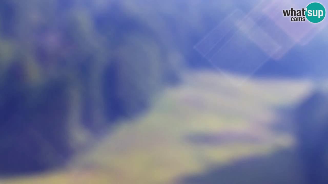 Webcam Kranjska Gora SKI resort | Bech, Kekec, Mojca ski