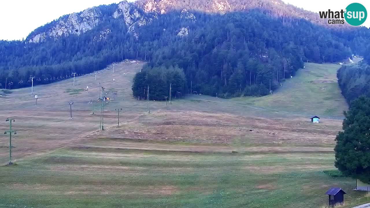 Web kamera Kranjska Gora Skijalište | Proge Mojca in Kekec