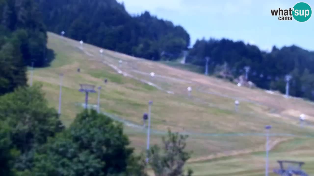 Web kamera Kranjska Gora Skijalište | Proge Mojca in Kekec